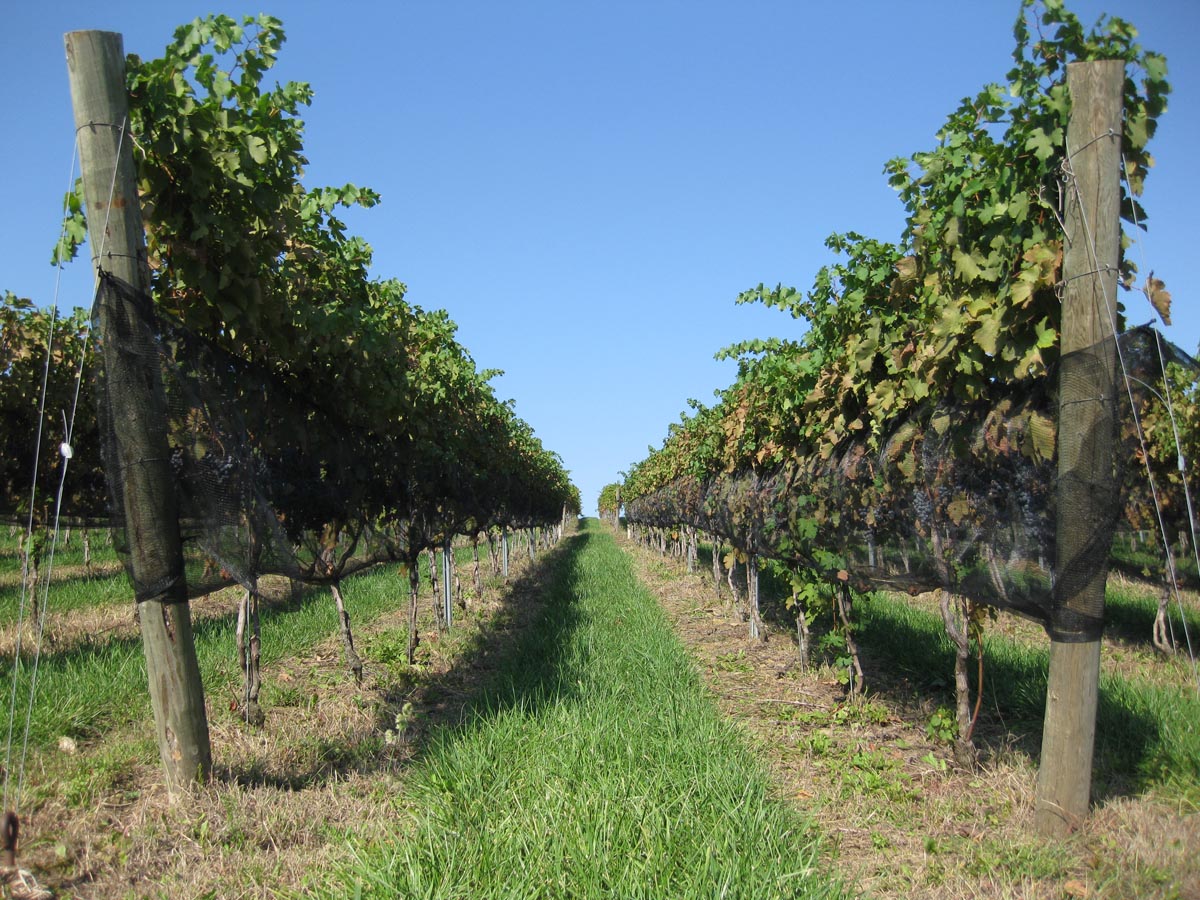 Join Our Mailing List Berks County Wine Trail