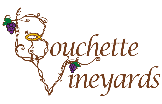 Bouchette Vineyards, Bethel