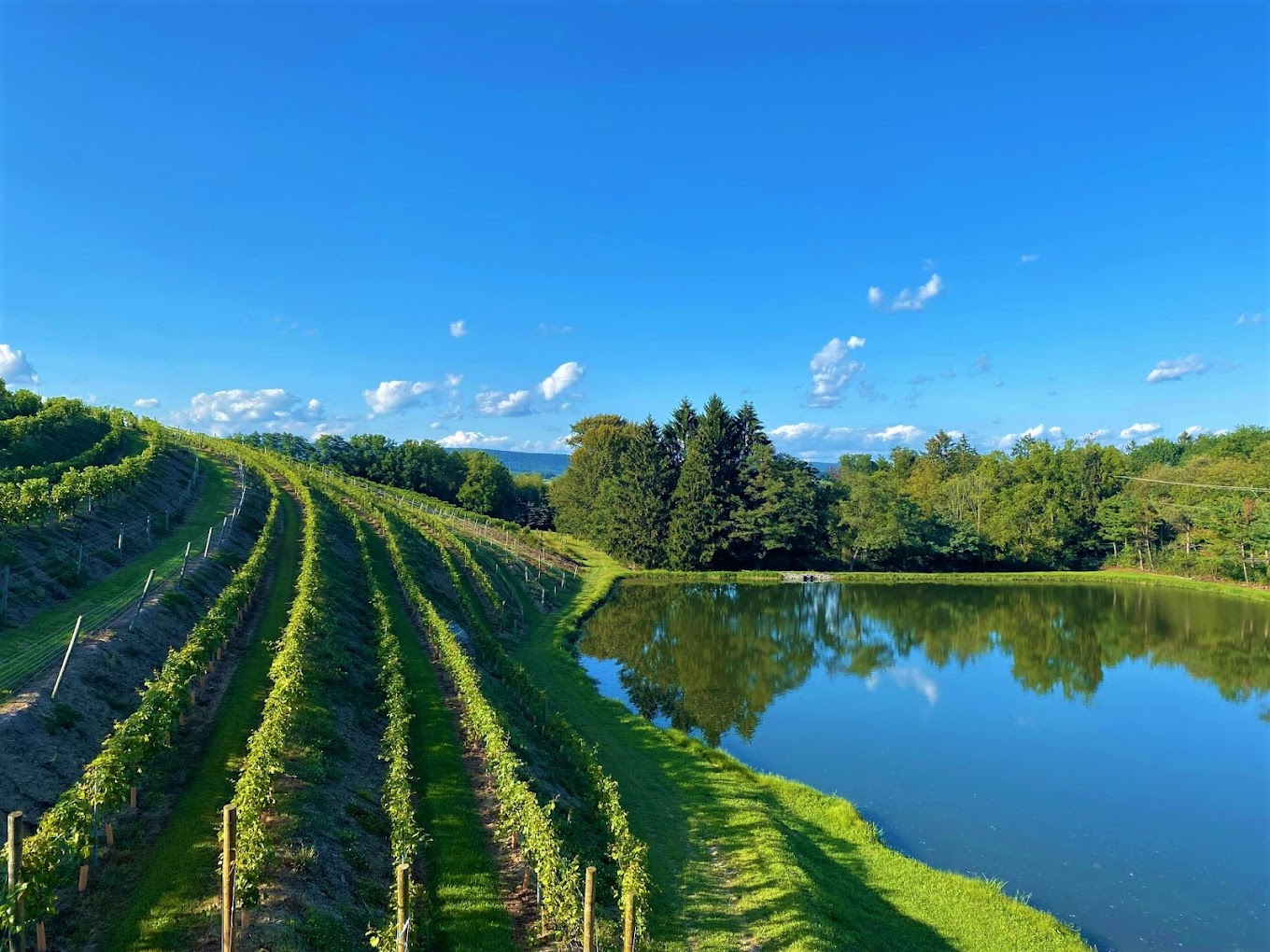 Berks County Wine Trail Pennsylvania’s diverse collection of unique wines